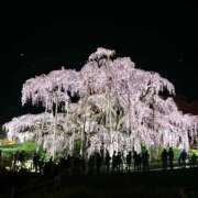 ヒメ日記 2026/04/20 00:30 投稿 Shizuku Tsukino ELEGANT－エレガント－