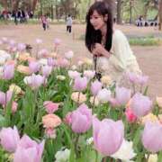 ヒメ日記 2026/04/26 08:59 投稿 Shizuku Tsukino ELEGANT－エレガント－