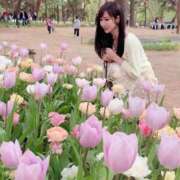 ヒメ日記 2026/04/26 18:03 投稿 Shizuku Tsukino ELEGANT－エレガント－