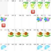 ヒメ日記 2026/05/07 14:18 投稿 Shizuku Tsukino ELEGANT－エレガント－