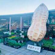 ヒメ日記 2026/05/10 23:45 投稿 Shizuku Tsukino ELEGANT－エレガント－