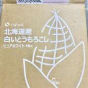 ヒメ日記 2026/09/21 23:45 投稿 Shizuku Tsukino ELEGANT－エレガント－