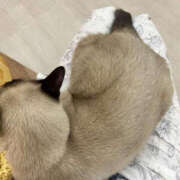 ヒメ日記 2025/09/22 19:28 投稿 れいな先生 Private lesson(水戸)