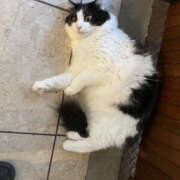 ヒメ日記 2025/09/24 17:03 投稿 れいな先生 Private lesson(水戸)