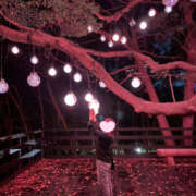 ヒメ日記 2025/10/05 22:02 投稿 れいな先生 Private lesson(水戸)