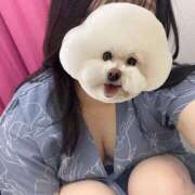 ヒメ日記 2025/05/05 20:01 投稿 るみ 池袋ぱんぷきん（シンデレラグループ）