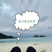 ヒメ日記 2025/02/19 20:13 投稿 さつき バイオレンス