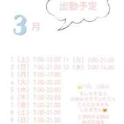 ヒメ日記 2025/02/24 23:42 投稿 さつき バイオレンス