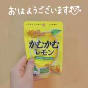 ヒメ日記 2025/04/13 04:45 投稿 さつき バイオレンス
