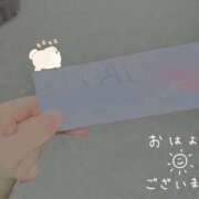 ヒメ日記 2025/04/14 05:51 投稿 さつき バイオレンス