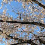 ヒメ日記 2025/04/18 03:15 投稿 さつき バイオレンス