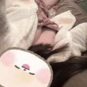 ヒメ日記 2025/04/25 22:55 投稿 さつき バイオレンス