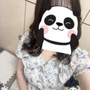 ヒメ日記 2025/05/24 13:15 投稿 さつき バイオレンス