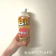 ヒメ日記 2025/06/03 06:25 投稿 さつき バイオレンス