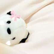 ヒメ日記 2025/08/22 14:15 投稿 さつき バイオレンス