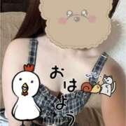 ヒメ日記 2025/09/04 08:15 投稿 さつき バイオレンス