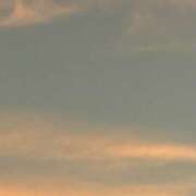 ヒメ日記 2025/09/26 19:45 投稿 さつき バイオレンス