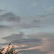 ヒメ日記 2025/09/29 06:05 投稿 さつき バイオレンス