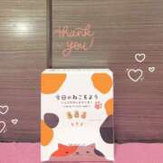 ヒメ日記 2025/12/02 19:45 投稿 さつき バイオレンス