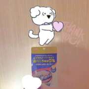 ヒメ日記 2026/02/11 05:55 投稿 さつき バイオレンス