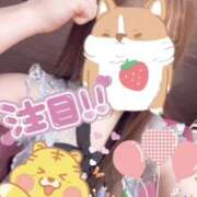 ヒメ日記 2026/03/06 05:55 投稿 さつき バイオレンス