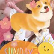 ヒメ日記 2026/03/07 15:45 投稿 さつき バイオレンス