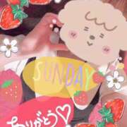 ヒメ日記 2026/03/08 08:17 投稿 さつき バイオレンス