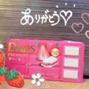 ヒメ日記 2026/03/31 07:45 投稿 さつき バイオレンス