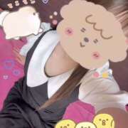 ヒメ日記 2026/04/07 16:25 投稿 さつき バイオレンス