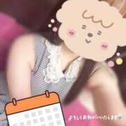 ヒメ日記 2026/07/23 08:45 投稿 さつき バイオレンス