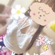 ヒメ日記 2026/07/31 04:55 投稿 さつき バイオレンス