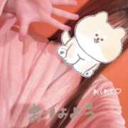 ヒメ日記 2026/10/01 05:25 投稿 さつき バイオレンス
