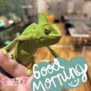 ヒメ日記 2026/10/19 07:15 投稿 さつき バイオレンス