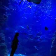 ヒメ日記 2025/05/04 09:29 投稿 ちさと スピードエコ日本橋店