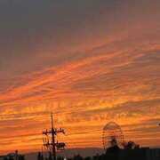 ヒメ日記 2025/06/15 19:59 投稿 ちさと スピードエコ日本橋店