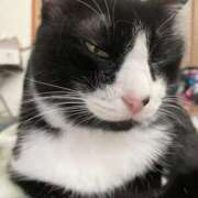 ヒメ日記 2025/10/28 19:39 投稿 ちさと スピードエコ日本橋店