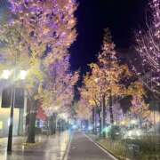 ヒメ日記 2025/12/08 18:20 投稿 ちさと スピードエコ日本橋店