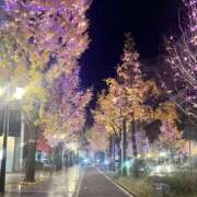 ちさと ちさと（エコ日本橋店） スピードエコ日本橋店