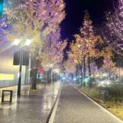 ヒメ日記 2025/12/25 09:43 投稿 ちさと スピードエコ日本橋店