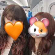 ヒメ日記 2026/04/04 16:52 投稿 ちさと スピードエコ日本橋店