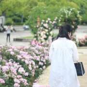ヒメ日記 2026/05/05 09:39 投稿 ちさと スピードエコ日本橋店