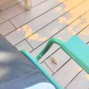 ヒメ日記 2025/07/04 19:10 投稿 中山 れもん 大奥 難波店