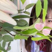 ヒメ日記 2025/01/22 16:33 投稿 ヒカル カラフル部