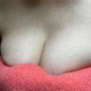 ヒメ日記 2025/01/16 01:14 投稿 椿（つばき） ビッグバード