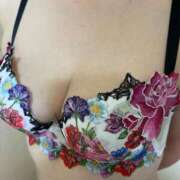 ヒメ日記 2025/01/30 16:04 投稿 椿（つばき） ビッグバード