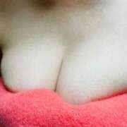 ヒメ日記 2025/02/09 20:34 投稿 椿（つばき） ビッグバード