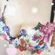 ヒメ日記 2025/02/22 17:44 投稿 椿（つばき） ビッグバード