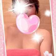 ヒメ日記 2025/02/28 08:17 投稿 椿（つばき） ビッグバード