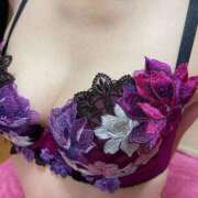 ヒメ日記 2025/03/12 17:28 投稿 椿（つばき） ビッグバード