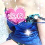 ヒメ日記 2025/04/03 21:14 投稿 椿（つばき） ビッグバード